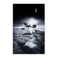 thumbnail image 2 of Trademark Fine Art "Emotional High" Canvas Art by Philippe Sainte-Laudy, 2 of 4