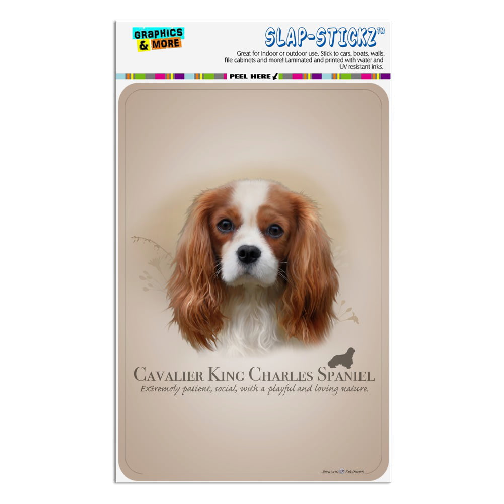 On Board Dog Car Sign Cavalier King Charles Spaniel  Pup Suction Cap provided 