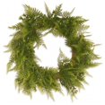 thumbnail image 1 of National Tree  22 in. Boston Fern Wreath - Green, 1 of 1