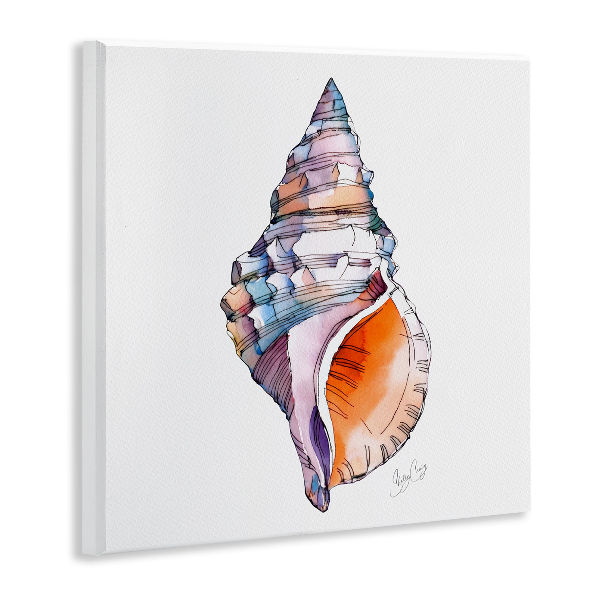 Stupell Industries Sunrise Conch Shell Wall Plaque Art, design by Shelly Craig