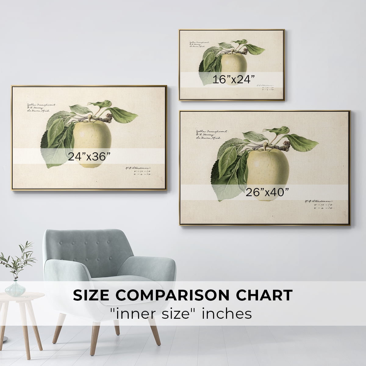 Vintage Botanical Print-XLV By Wexford Home Framed in Gold Wood Gallery Wrapped Canvas 17 in. x 25 in.