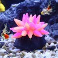 thumbnail image 3 of Unique Bargains Aquarium Simulation Bubble Coral Silicone Fluorescent Coral Glow Fish Tank Landscape Decoration Rose Red, 3 of 7