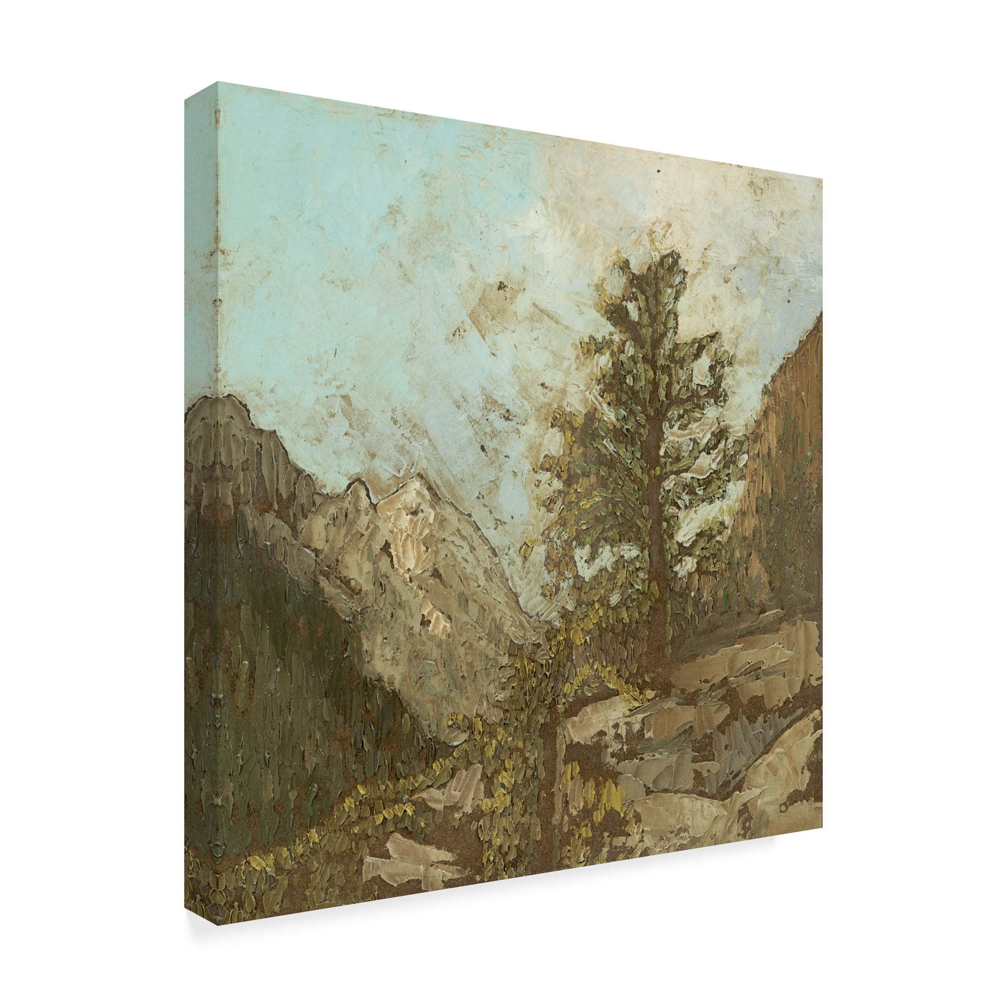 Trademark Fine Art 'Western View VI' Canvas Art by Megan Meagher