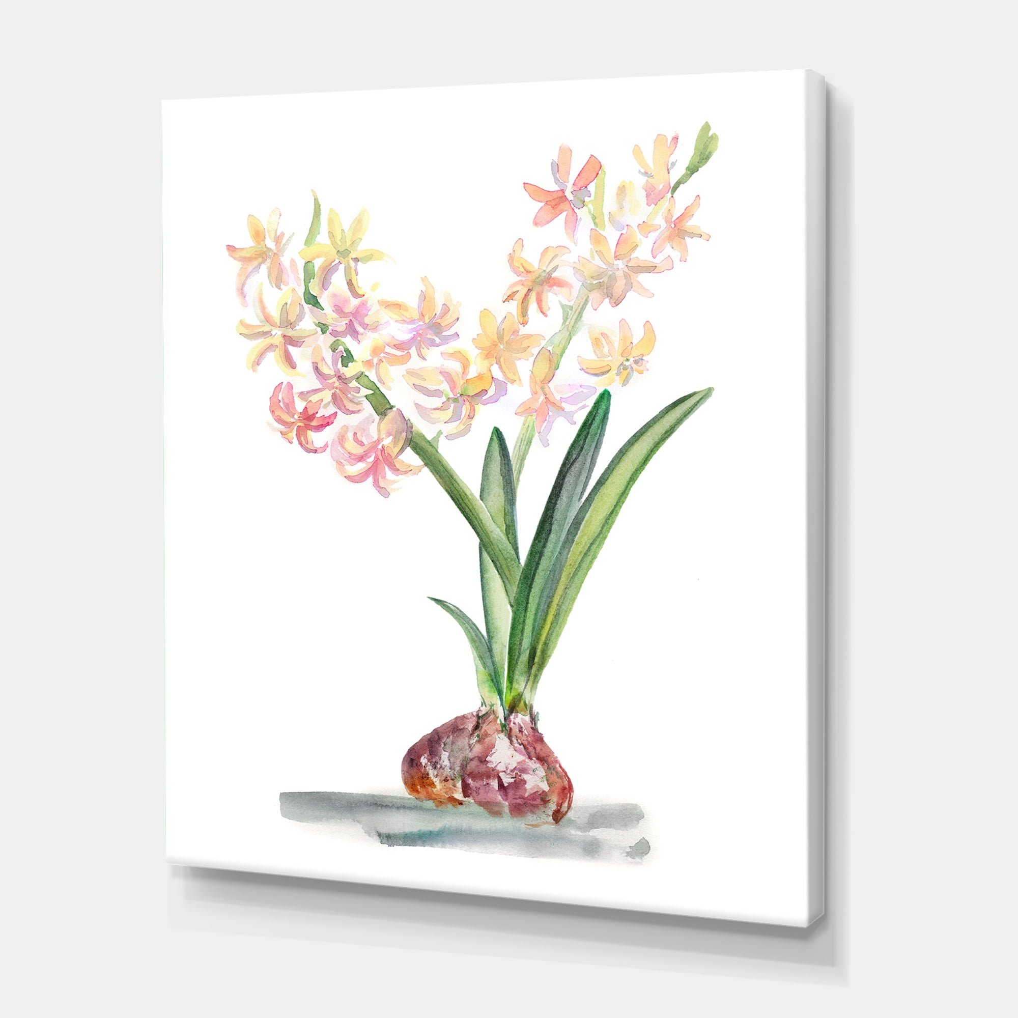 Designart ' Blossoming Hyacinth ' Traditional Canvas Wall Art Print
