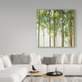thumbnail image 3 of Trademark Fine Art 'Forest Study III' Canvas Art by Lisa Audit, 3 of 3