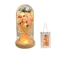 thumbnail image 2 of Antqov Valentines Day Gifts for Her, Glass Forever Rose Flower Gift for Women, LED Fake Flowers Night Light Flowers Bouquet in Domes with Lights for Valentine’s Day, Wedding, Party Decor, 2 of 6