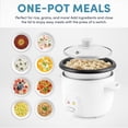 thumbnail image 6 of 4 Cup Pot Style Rice Cooker: Nonstick, Stay-Cool Handles, 1 Setting, 250W, Includes Glass Lid & Manual, 6 of 9