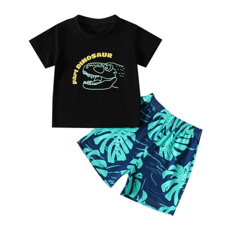 

Toddler Boys Short Sleeve Cartoon Dinosaur Printed T-Shirt Pullover Tops Shorts Kids Outfits Child Clothing Streetwear Dailywear Outwear
