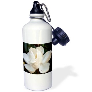 Stanley 1.5qt/1.4L (48oz) Stainless Steel Classic Legendary Bottle - Hearth  & Hand with Magnolia 