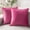 Pink, variant on Phantoscope Pink Throw Pillow Covers 2 Pack, 18" x 18" Velvet Decorative Pillow Cases with Pom Poms, Soft Square Cushion Covers for Couch Sofa Bed