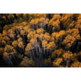 thumbnail image 3 of Xu, Mei 18x13 Black Modern Framed Museum Art Print Titled - Aspen in Autumn, 3 of 5