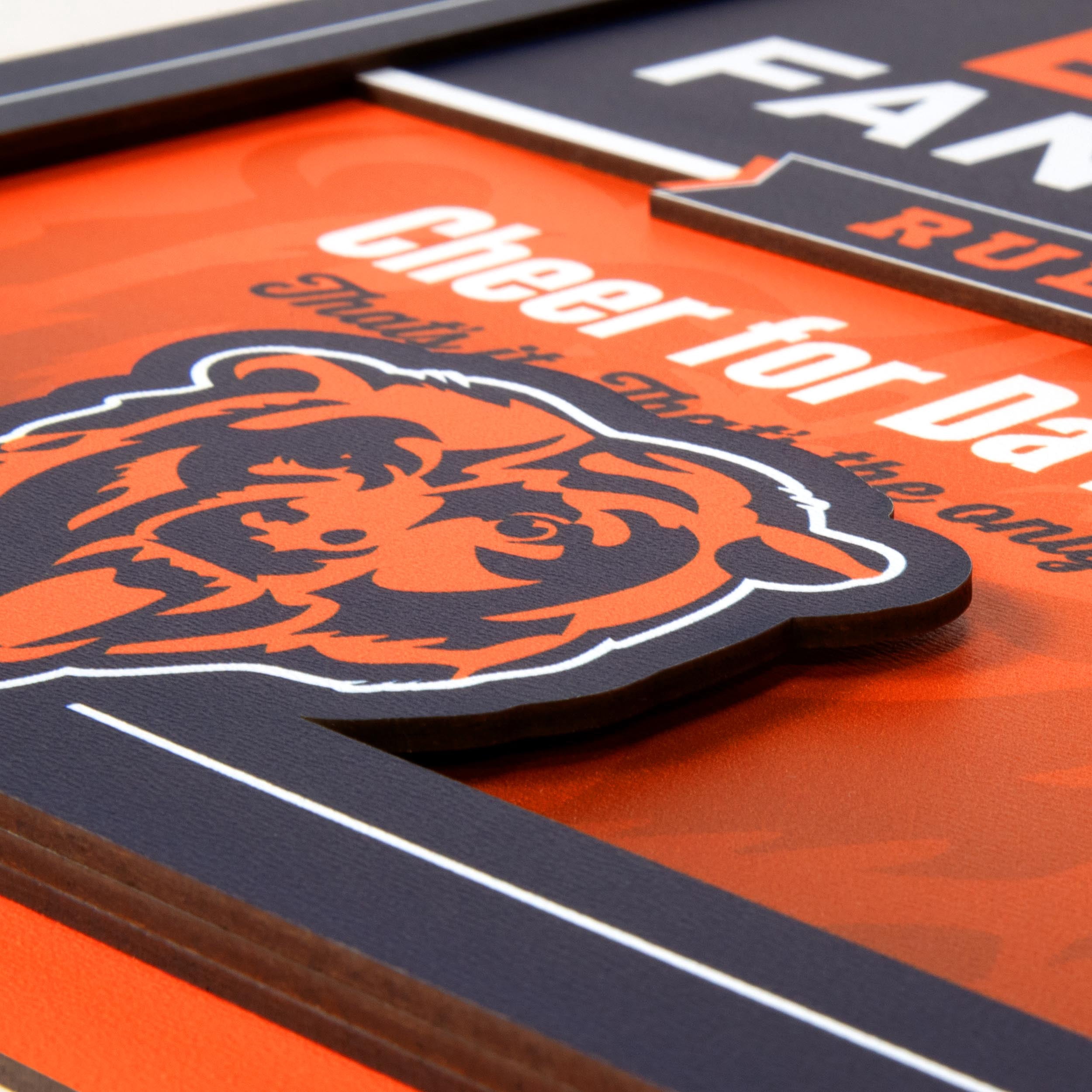 YouTheFan NFL Chicago Bears Fan Rules 3D Wall Art