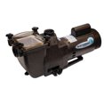 thumbnail image 1 of Blue Torrent 1HP Typhoon In Ground Pool Pump, 1 of 5