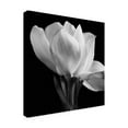 thumbnail image 3 of Trademark Fine Art Michael Harrison Gardenia Canvas Wall Art - 24x24, 3 of 5