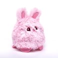 thumbnail image 3 of Vibrant Life Plush Bunny Ball Toy, 3 of 5