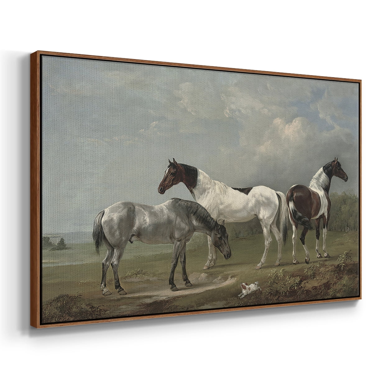 Vintage Animal Print-XX By Wexford Home Framed in Walnut Wood Gallery Wrapped Canvas 17 in. x 25 in.