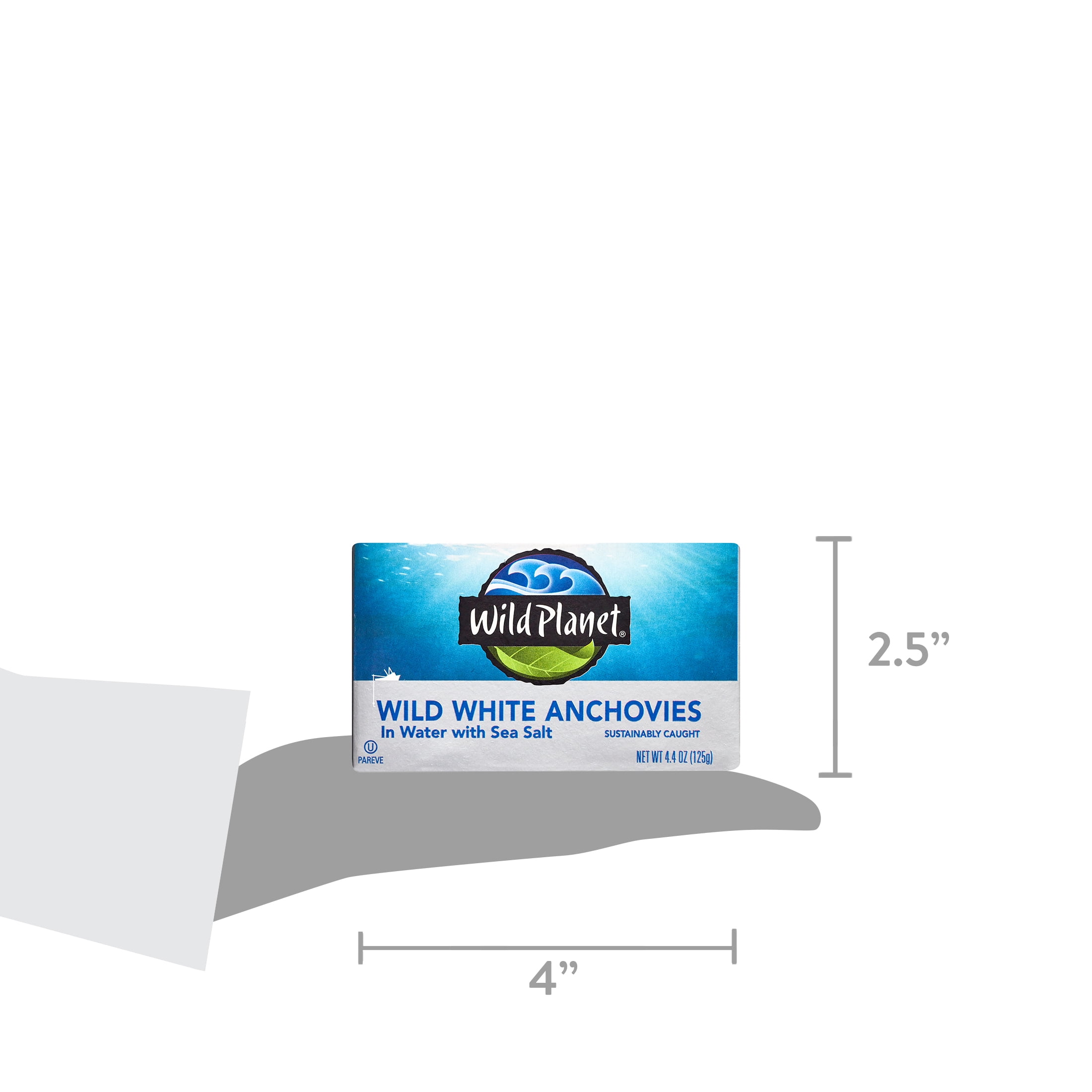 (6 pack) Wild Planet Wild Caught White Anchovies in Water with Sea Salt, 4.4 oz Can