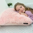 thumbnail image 2 of Memory Foam Fun Pillow Huggy Collection with Snuggle Cover, Standard/Queen, Pink, 2 Pack, 2 of 14