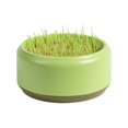 thumbnail image 1 of 1* Cat Snack Cat Mint Planting Hydroponic Box Cat Grass Pot Cat UK Grass B4T8, 1 of 8