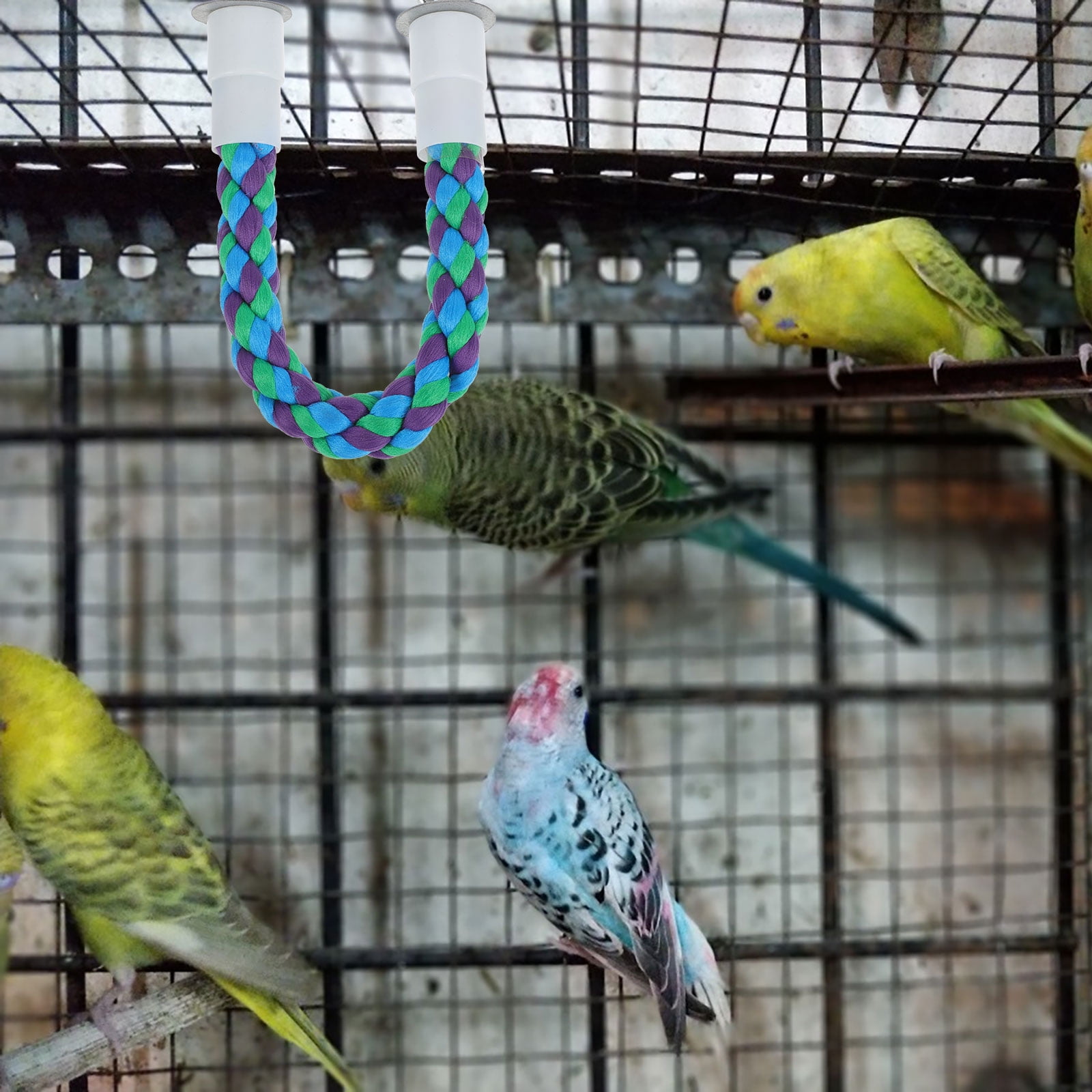 Phenofice Assorted Color Parrot Accessory Durable Cotton Rope for Decor