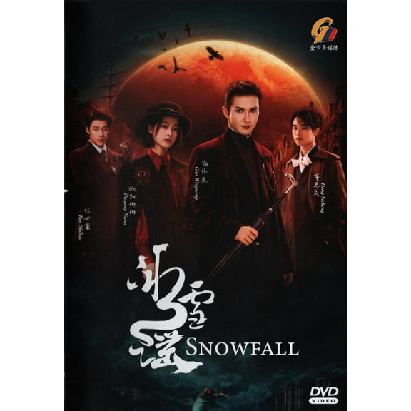 SnowFall Mandarin Drama DVD - TV Series With English Subtitles