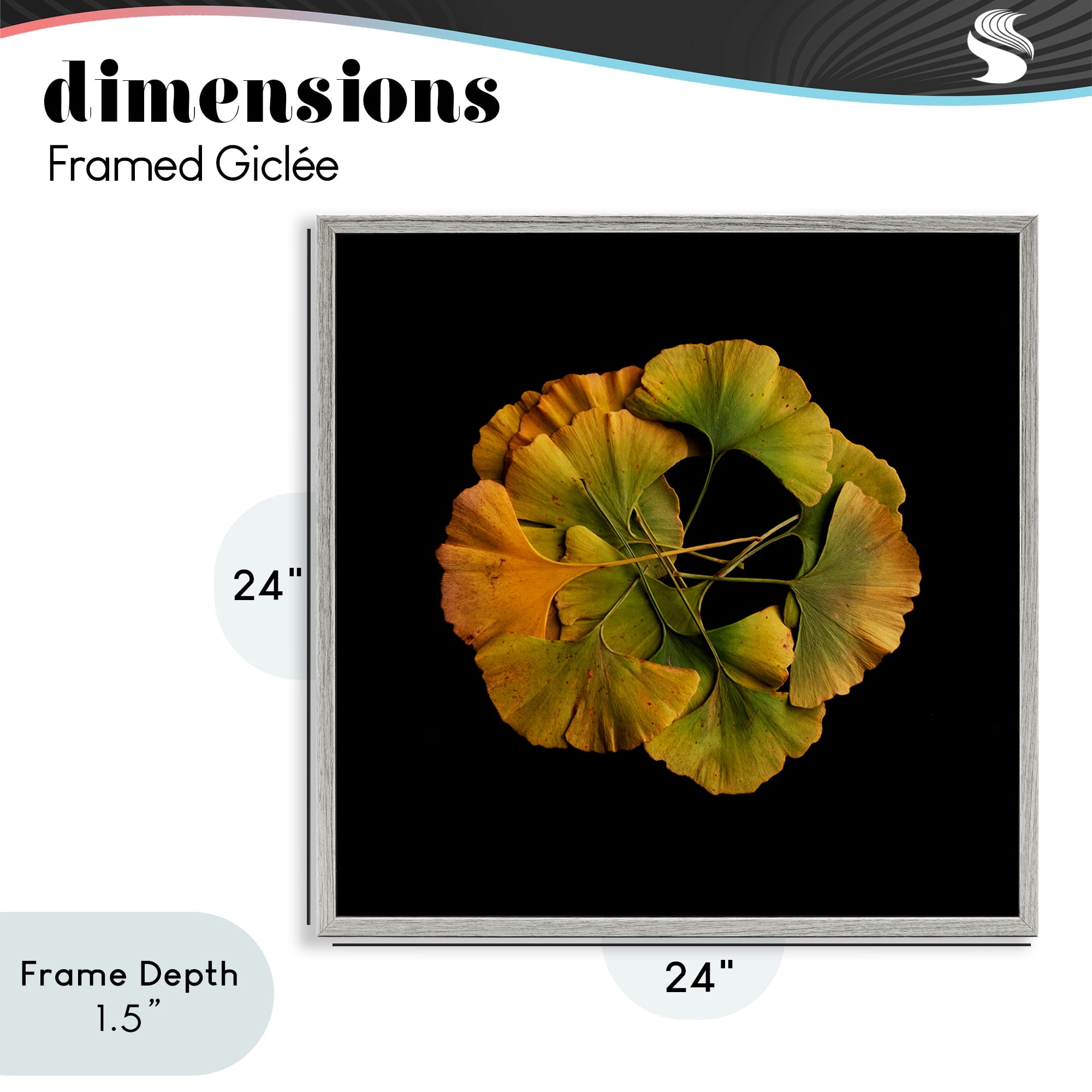 Stupell Industries Overlapping Ginkgo Leaves Gray Framed Giclee Art, design by Beth Adoette