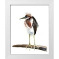 thumbnail image 1 of Shefranov, Olga 12x14 White Modern Wood Framed Museum Art Print Titled - Shrug, 1 of 4