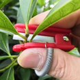 thumbnail image 3 of 2 Pcs Mini Harvest Tool - Stainless Steel Gardening Scissors Secateurs Thumb Knives - Mini Garden Pruner Stainless Steel Shears, 3 of 5