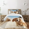 thumbnail image 3 of Ambesonne Funny Quilted Bedspread Set 2 Pcs, Cats Dogs in Sky Clouds, Twin Size, Multicolor, 3 of 6