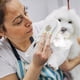 thumbnail image 4 of Spray Peine Ganfancp Perro Suministros de Limpieza 20Ml, 4 of 7