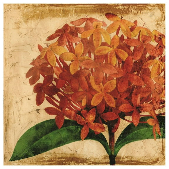 Empire Art Direct Vibrant Floral 2 Frameless Free Floating Tempered Glass Panel Graphic Wall Art, 40" x 40" x 0.2", Ready to Hang