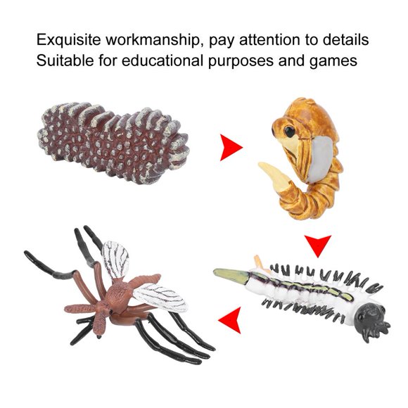 Fosa Mosquito Growth Cycle Model Children Miniature Simulation Animal Early Education Statue Toy,Animal Statue,Mosquito Growth Cycle Model