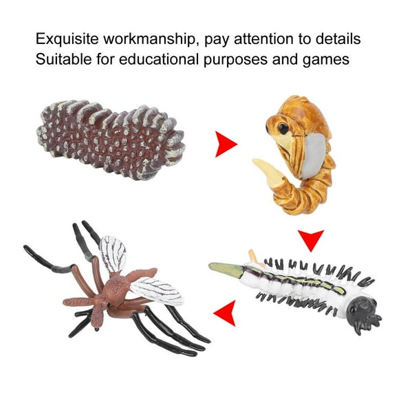 Fosa Mosquito Growth Cycle Model Children Miniature Simulation Animal Early Education Statue Toy,Animal Statue,Mosquito Growth Cycle Model