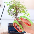 thumbnail image 4 of Stainless Steel Grape Pruning Shears Bonsai Fruit Tree Branch Trimming Scissors Garden Tools, 4 of 8