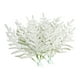 thumbnail image 2 of 20 piezas de ramas de nieve de Norfolk para Navidad, agujas de árbol, pequeñas ramitas de Norfolk para mesa de exterior, 2 of 9