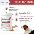 thumbnail image 4 of Chew + Heal UTI Treatment Cranberry Chews for Dogs - 120 Treats - Supports Healthy Urinary Tract and Bladder Function - Corrects Imbalances - With Echinacea and Vitamin C - Made in the USA, 4 of 8