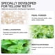 thumbnail image 3 of Crystal Clean Smile Powder, Mint Tooth Powder,crystal Clean Teeth Whitening Powder For Tooth Whitening, 3 of 4