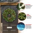 thumbnail image 5 of National Tree Company 24 Inch Artificial Frosted Berry Holiday Wreath, 5 of 5