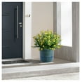 thumbnail image 2 of Set of 3 Grid Ceramic Flowerpot, Modern Planter for Patio, Garden, Windowsill - Blue Green, 2 of 9