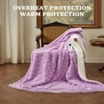 thumbnail image 2 of Danolapsi Heated Throw Blanket,Soft Flannel Heating Blanket with with 8 Hours Auto Off,10 Fast Heating Levels,Machine Washable,Machine Washable,OverHeat Protection, 2 of 9