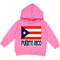 thumbnail image 2 of Inktastic Puerto Rico Flag & Name Toddler Hoodie, 2 of 4