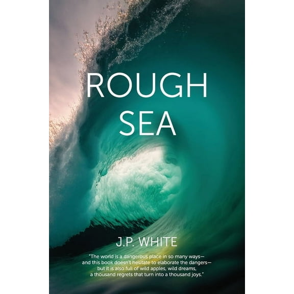 Rough Sea: poems, (Paperback)