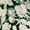 Green, variant on 2026 Women Maxi Long Dress Tropical Print Halter Neck Backless Sundress Sleeveless Holiday Party Beach Dresses Green,S