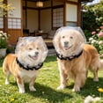 thumbnail image 3 of Mesh Eating Cover for Pet Head, Anti-Scavenging Eating Cover for Small Dogs Cats, Breathable Elastic Hood Barrier, Suitable for Outdoor Walk Protection, 3 of 5