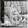 thumbnail image 4 of Ambesonne Jungle Shower Curtain, Wild Tiger Jaguar, 69"Wx70"L, Black White, 4 of 5