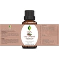 thumbnail image 2 of SVA Coffee Essential Oil – 1/3 Fl Oz – 100% Natural Coffee Oil - for Diffuser, Hair Care, Face, Skin Care, Aromatherapy, Scalp and Body Massage, Soap and Candle Making, 2 of 8