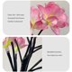 thumbnail image 1 of Lámpara de césped solar con forma de flor impermeable con luz de estaca de jardín LED (rosa 2 piezas) Likrtyny Para estrenar, 1 of 9