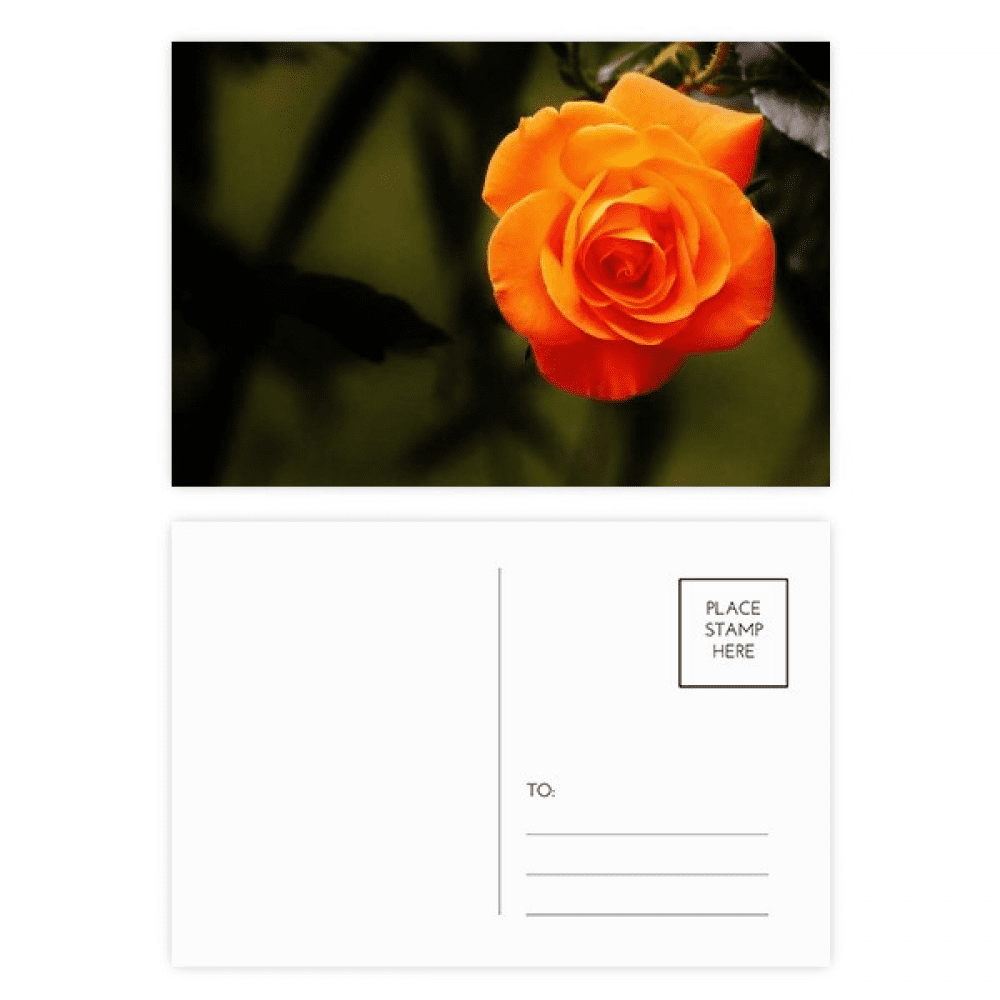 orange dark green flower postcard set birthday mailing thanks greeting card