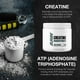 thumbnail image 3 of RAW Nutrition Creatine Monohydrate Powder, Unflavored (30 Servings) - Micronized Creatine Monohydrate Supplement for Workout Performance, Build Muscle & Strength - Creatine Powder for Men & Women, 3 of 5