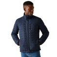 thumbnail image 4 of Regatta Womens Haire Padded Jacket, 4 of 5